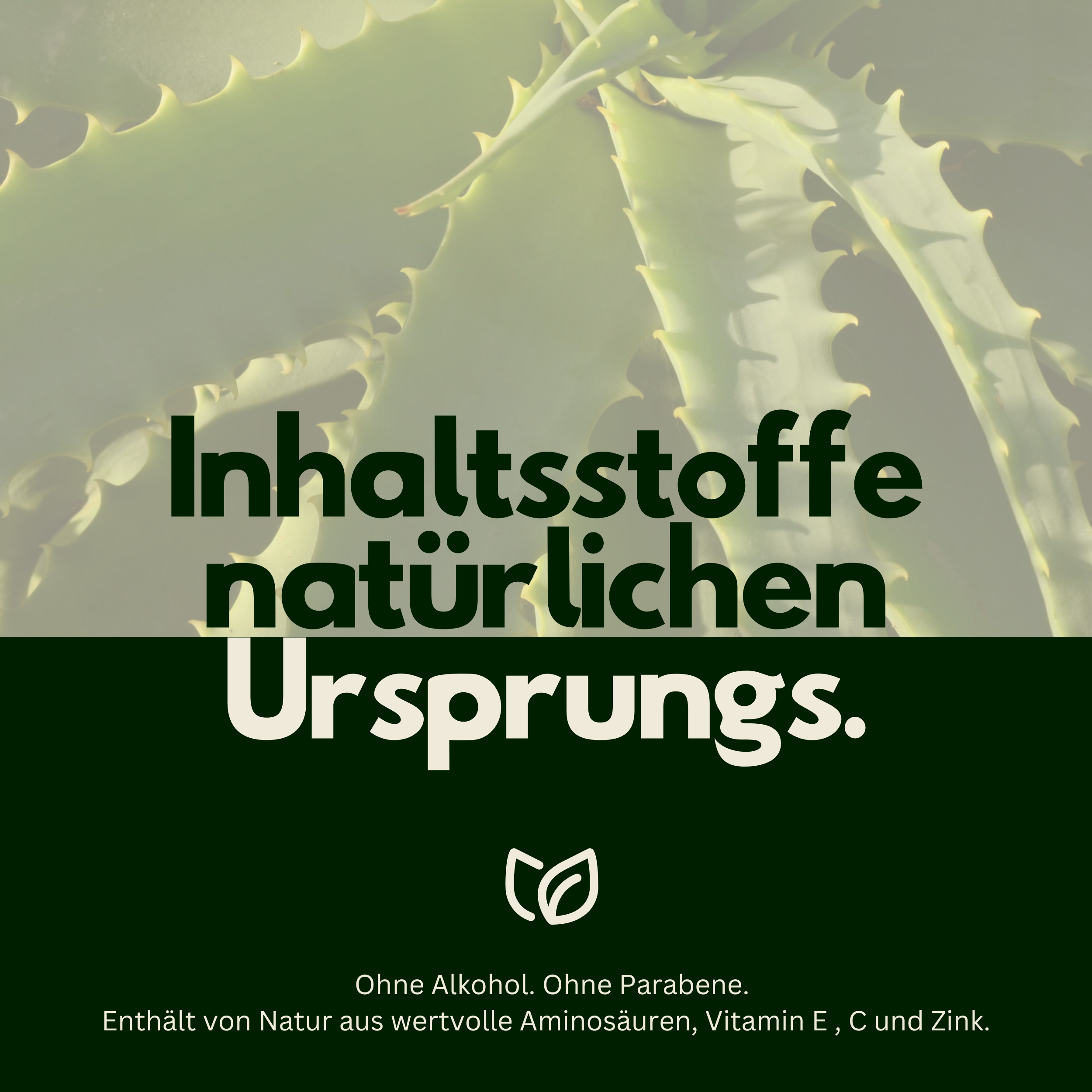 Aloe Vera Gel aus 100% Blattsaft