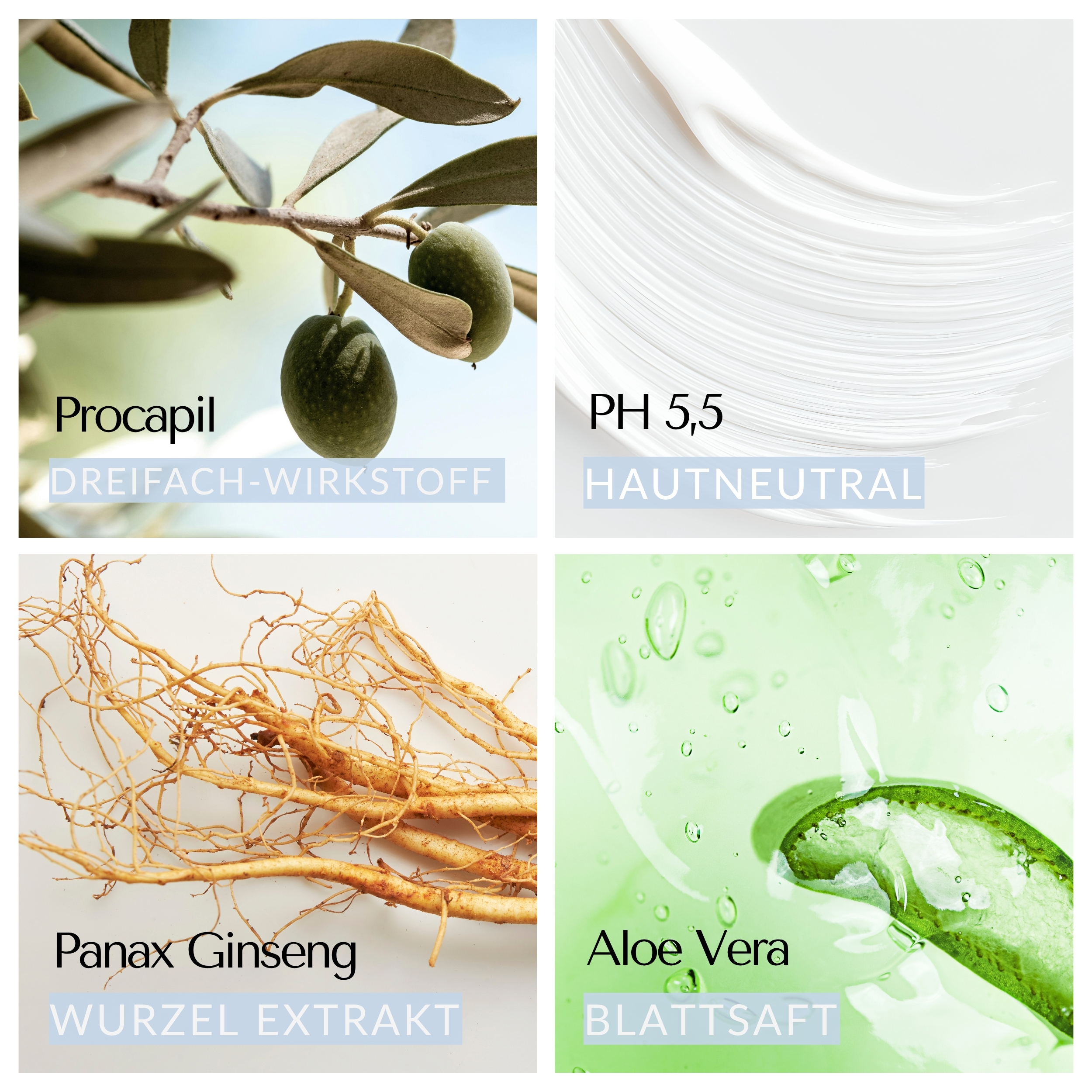 Evocapil Plus Anti-Haarausfall Shampoo 6 Stück