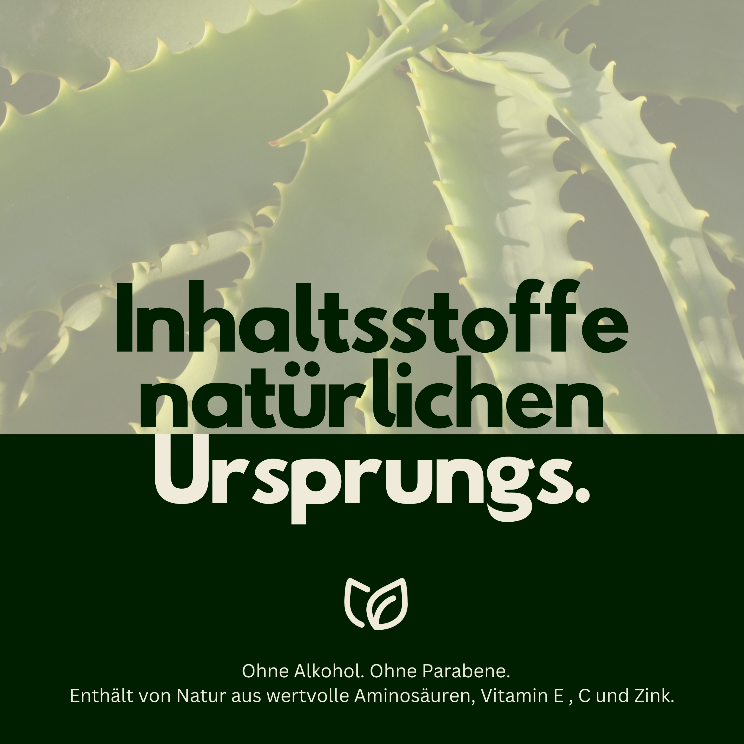 Bio Aloe Vera Spray - Ohne Alkohol