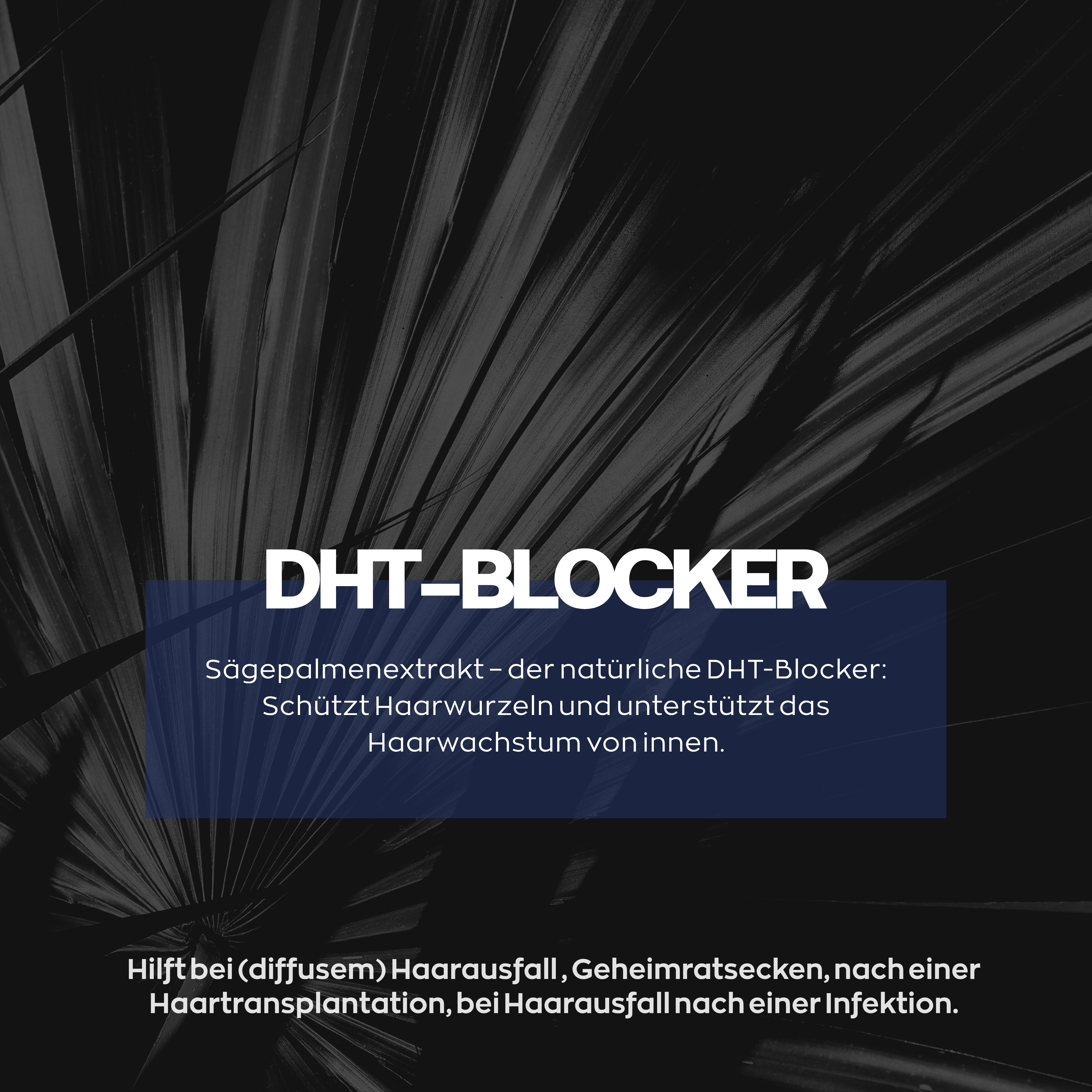 Anti Haarverlust Set. Xpecia + Hair Forte DHT Blocker Hair Growth Kit Männer