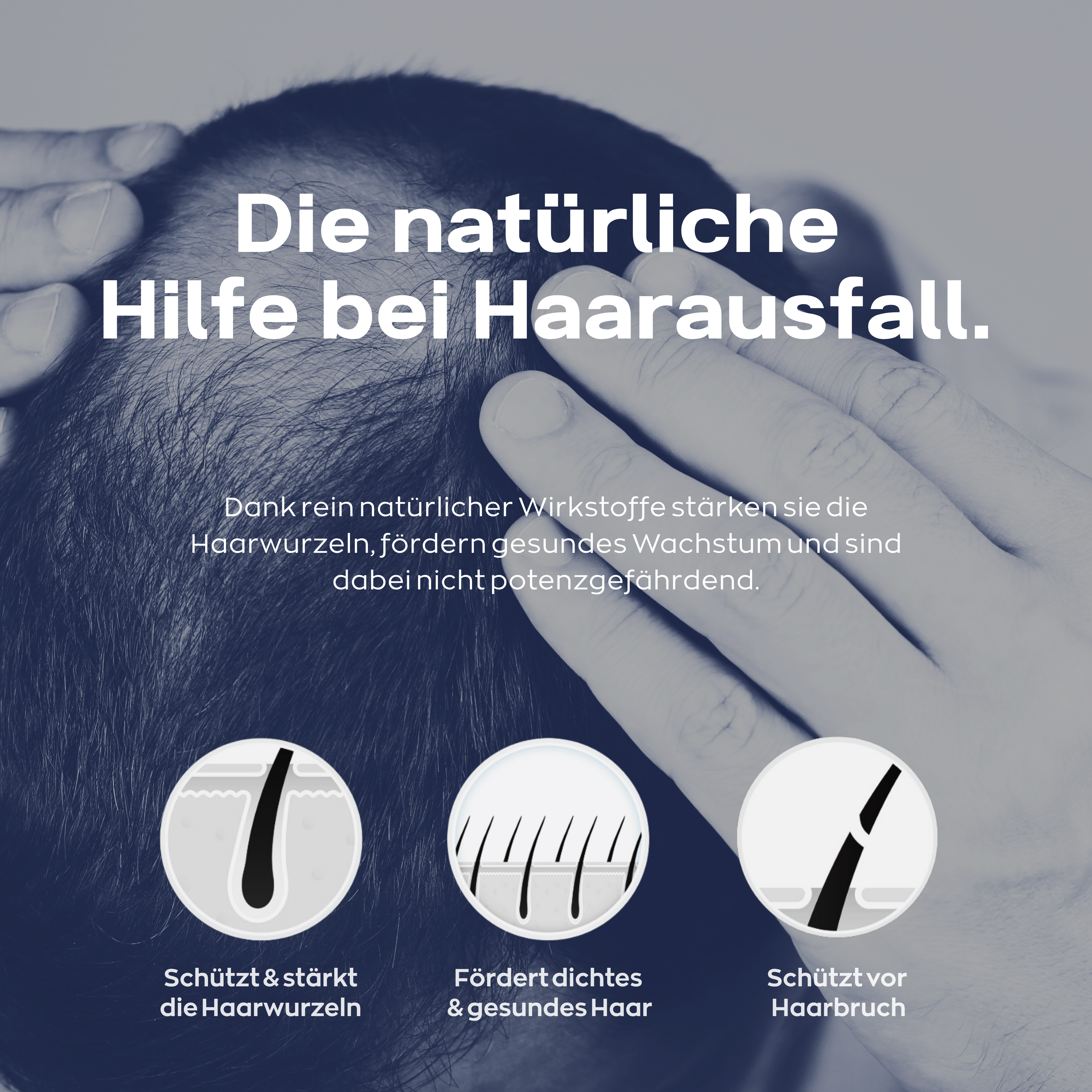 Anti Haarverlust Set. Xpecia + Hair Forte DHT Blocker Hair Growth Kit Männer